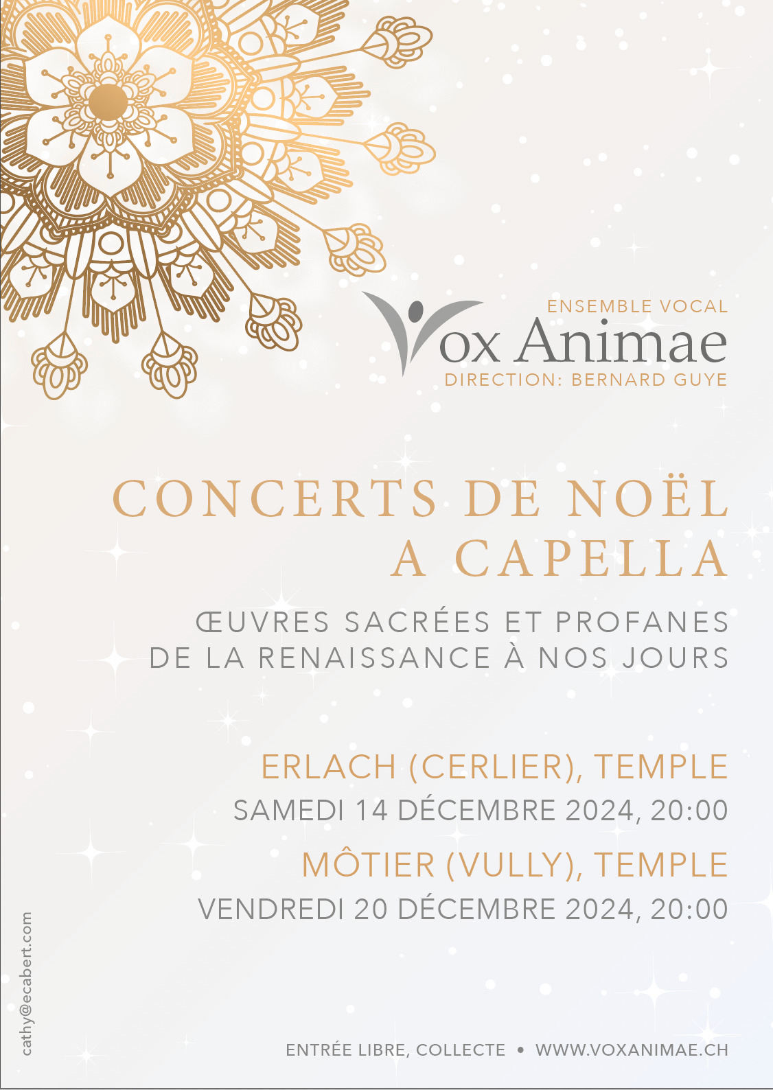 Concert de Noël de Vox Animae